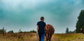 Fare agricoltura in Europa: sostegno ai giovani contadini Image by TheArkow from Pixabay