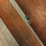 Quali regioni dell’Unione europea hanno la maggiore produzione agricola? Foto di Red Zeppelin su Unsplash