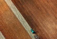 Foto di Red Zeppelin su Unsplash