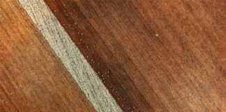 Foto di Red Zeppelin su Unsplash