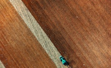 Quali regioni dell’Unione europea hanno la maggiore produzione agricola? Foto di Red Zeppelin su Unsplash