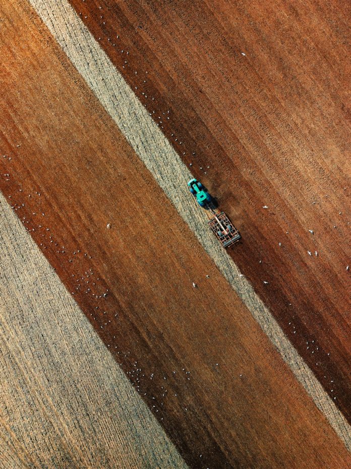 Foto di Red Zeppelin su Unsplash