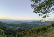 Giovani agricoltori, vivere e lavorare nelle zone rurali