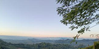 Giovani agricoltori, vivere e lavorare nelle zone rurali