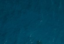 Foto di guille pozzi su Unsplash