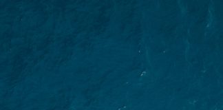 Foto di guille pozzi su Unsplash