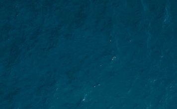 Foto di guille pozzi su Unsplash