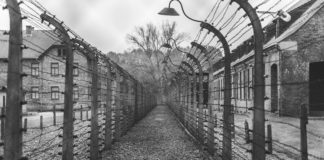 Foto di Karsten Winegeart su Unsplash