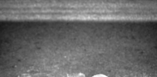 Foto di Patrick Hendry su Unsplash