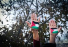 Foto di Ronit Shaked su Unsplash