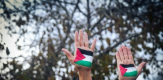 Foto di Ronit Shaked su Unsplash