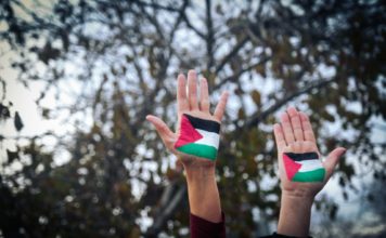 Foto di Ronit Shaked su Unsplash