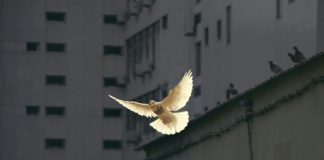 Foto di Sunguk Kim su Unsplash