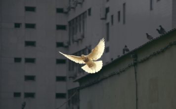 Foto di Sunguk Kim su Unsplash