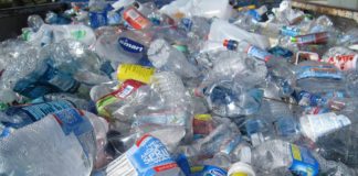 Foto di tanvi sharma su Unsplash