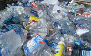 Foto di tanvi sharma su Unsplash