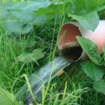 SpartanDav, CC0, via Wikimedia Commons