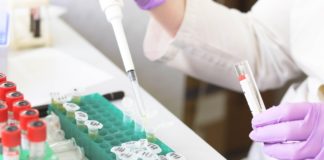 Foto di Tatiana da Pixabay