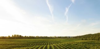 Foto di Dan Meyers su Unsplash