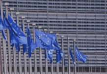 Definiti gli orientamenti del bilancio UE 2027 dal Consiglio dell’UE Foto di Pexels da Pixabay