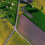 Foto di Ricardo Gomez Angel su Unsplash