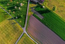 Foto di Ricardo Gomez Angel su Unsplash