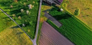 Foto di Ricardo Gomez Angel su Unsplash