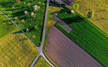 Foto di Ricardo Gomez Angel su Unsplash