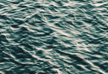 Foto di Akira Hojo su Unsplash