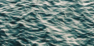 Foto di Akira Hojo su Unsplash