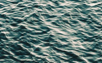 Foto di Akira Hojo su Unsplash