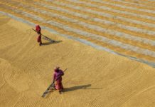 L’Unione Europea promuove la parità di genere nelle comunità rurali Foto di Dibakar Roy su Unsplash