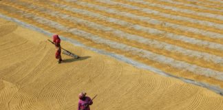 Foto di Dibakar Roy su Unsplash