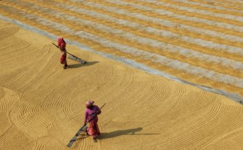 Foto di Dibakar Roy su Unsplash