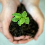 Foto di Jennifer Delmarre su Unsplash