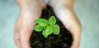 Foto di Jennifer Delmarre su Unsplash