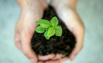 Foto di Jennifer Delmarre su Unsplash