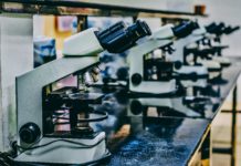 Foto di Ousa Chea su Unsplash