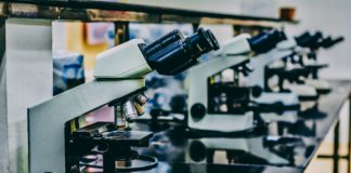 Foto di Ousa Chea su Unsplash