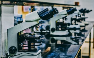 Foto di Ousa Chea su Unsplash