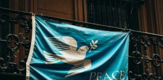 Foto di Jon Tyson su Unsplash