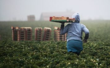 La Commissione Europea rafforza la tutela dei lavoratori migranti e il contrasto all’occupazione irregolare Foto di Tim Mossholder su Unsplash