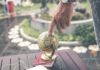 Foto di Artem Beliaikin su Unsplash
