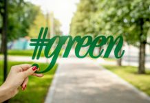 La sostenibilità al centro delle politiche europee: la settimana verde dell’Unione Europea Foto di Artem Beliaikin su Unsplash