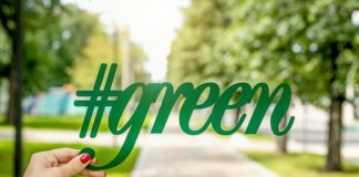 La sostenibilità al centro delle politiche europee: la settimana verde dell’Unione Europea Foto di Artem Beliaikin su Unsplash