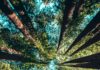 Foto di Casey Horner su Unsplash