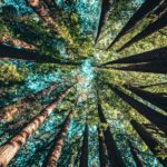 Foto di Casey Horner su Unsplash