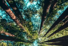 Natura 2000 Day Foto di Casey Horner su Unsplash