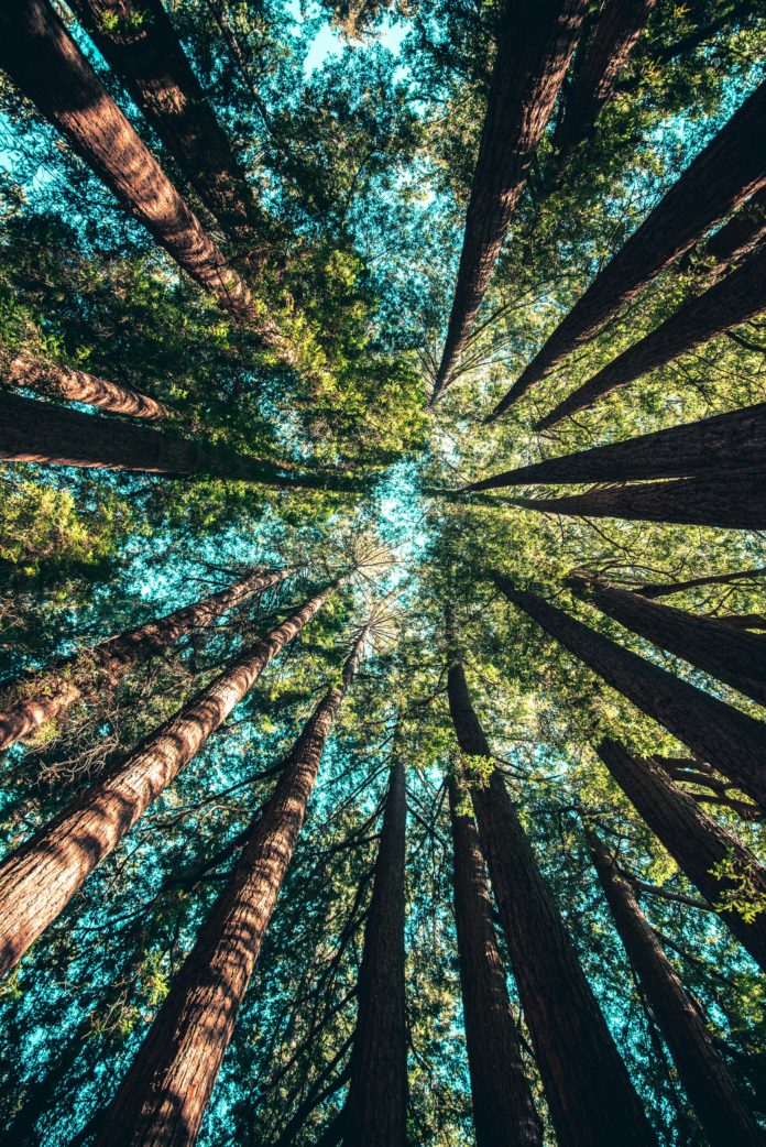 Foto di Casey Horner su Unsplash