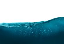 Il CESE avverte che l’acqua è ormai una questione di sicurezza economica per l’Europa Foto di Daniel Sinoca su Unsplash